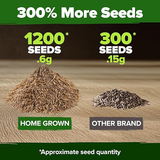 HOME GROWN Dandelion Seeds for Planting – 1200 Heirloom Medicinal Herb Seeds Grow Edible Leaves and Flowers for Remedies or Wildlife (Taraxacum officinale)