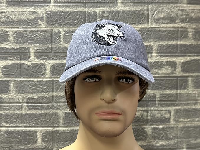 Embroidered Baseball Hats for Men and Women