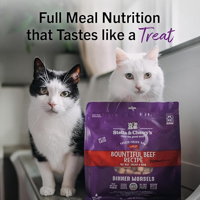 Stella & Chewy's Freeze-Dried Raw Cat Dinner Morsels - Premium Beef Recipe with 98% Grass-Fed Meat & Organs - Natural Grain-Free Cat & Kitten Food - Made in USA - 8 oz