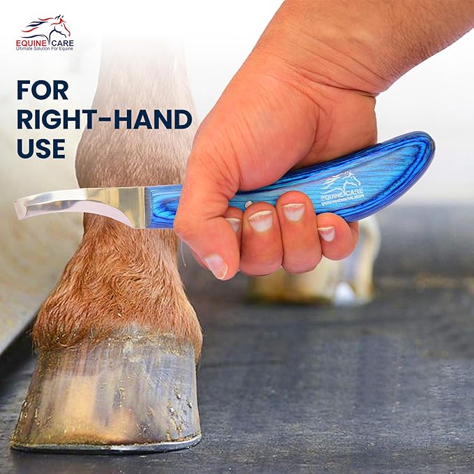 Equine Care Right-Handed Hoof Knife – Double-Ended Farrier Hoof Trimmer with Ultra-Sharp J2 Stainless Steel Blade, Ergonomic Handle – Professional Farrier Tool for Horses, Cows & Farm Livestock