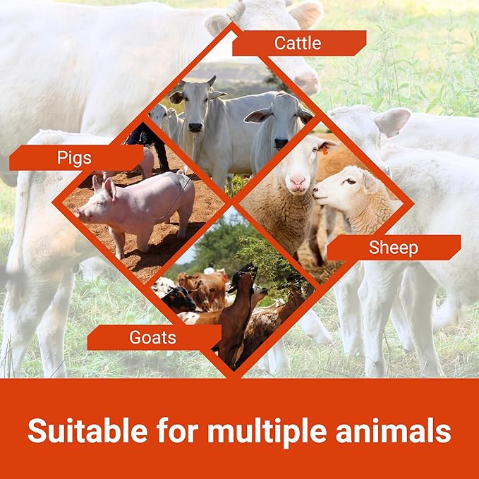 Orange Power Nutrient Supplement for Show Cattle, Sheep, Goats and Pigs - Appetite Stimulant & Performance Booster - Liquid Formula with B12 & Phosphorus (32 Fl Oz.)