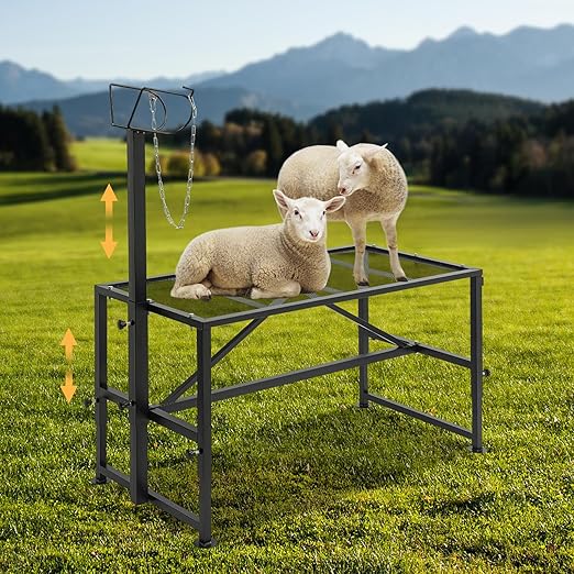 Metal Trimming Stand for Sheep Goat Livestock Stand with Adjustable Height 20.5-31.5in Milking Stand with a Ramp