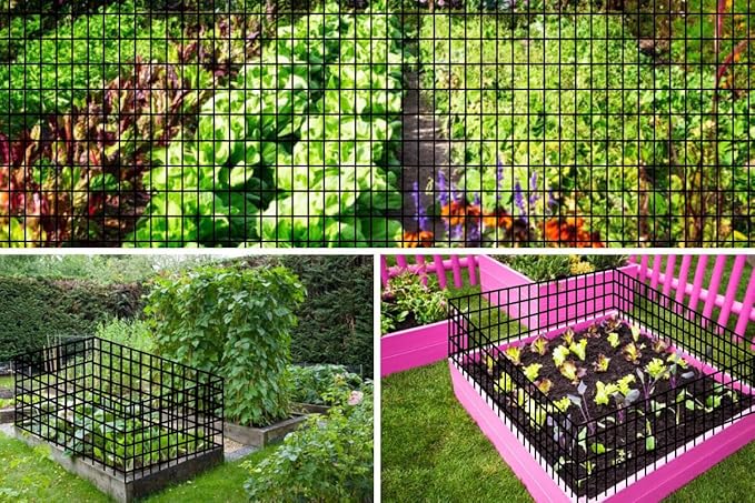 Hardware Cloth for Chicken Wire Fencing of Chicken Coop-2x3in Mesh AWG 16 Gauge 36in x 50ft Black PVC Coated Welded Wire Mesh Roll-Chicken Runs, Rabbit Hutches, Deer Barriers, Garden Mesh