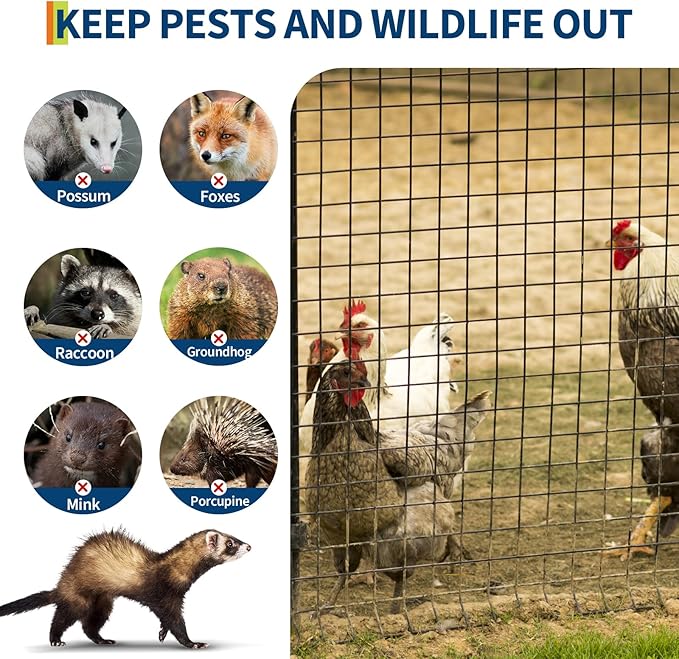 Hardware Cloth 1/2 inch - 36in x 50ft 19GA Black Galvanized Chicken Wire Mesh Roll, Hot-Dipped After Welding for Chicken Coop, Rabbit Cages & Garden Fencing – Poultry Netting & Chicken Wire Fencing