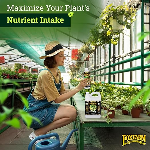 FoxFarm BushDoctor Cal-Mag - Liquid Calcium & Magnesium Supplement, Prevents Blossom End Rot & Tip Burn - Formula with 3% Calcium, 0.9% Magnesium for Gardening- NPK 1-0-0 (Quart)