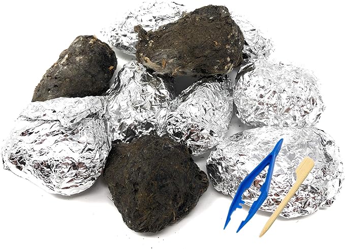 PelletPal Premium Barn Owl Pellets, Large (Pack of 10) - Free Bone ID Chart, 10 Forceps, 10 Paddle Picks, and Teaching Guide Included!