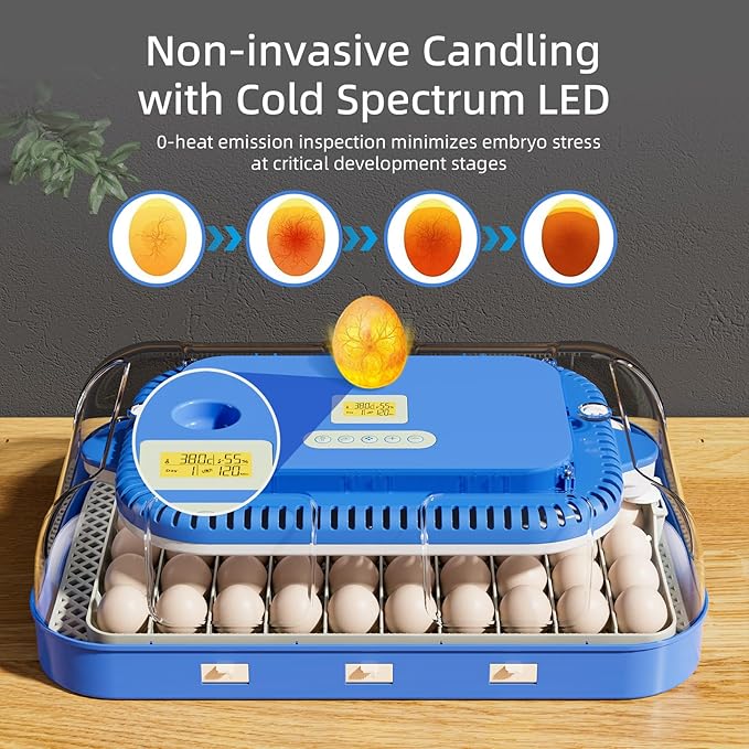 70 Egg Incubator for Hatching Eggs, Intelligent Incubator with high Hatch Rate - DualPower System, Auto Temperature & Humidity Control for 30+ Species, 360° Observation Dome & Cold Spectrum Candling