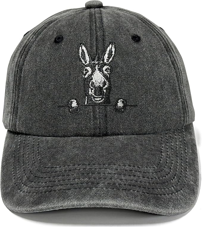 Embroidered Baseball Hats for Men and Women