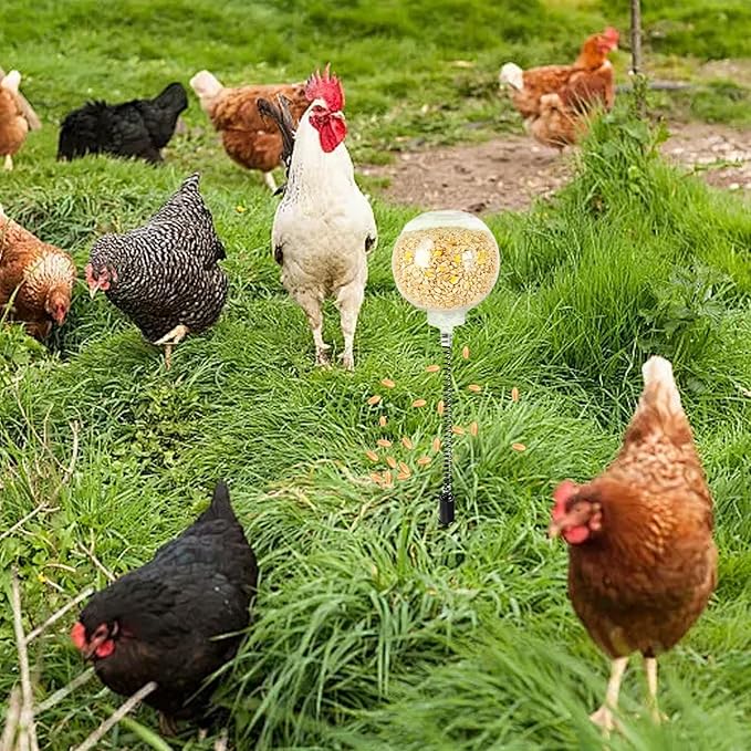 2PCS Chicken Peck Toys Poultry Enrichment Swing & Slow Feeder Chicken Treat Dispenser for Hens Ducks Birds and Parrots Transparent Coop Toys for Fun & Feeding