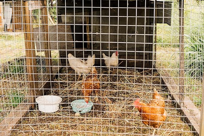 Hardware Cloth for Chicken Wire Fencing-1/4in Mesh AWG 23 Gauge 36in x 100ft Hot-Dip Galvanized Welded Wire Mesh Roll-Rabbit Cages, Snake Proof Fencing, Garden Protection, Poultry Netting