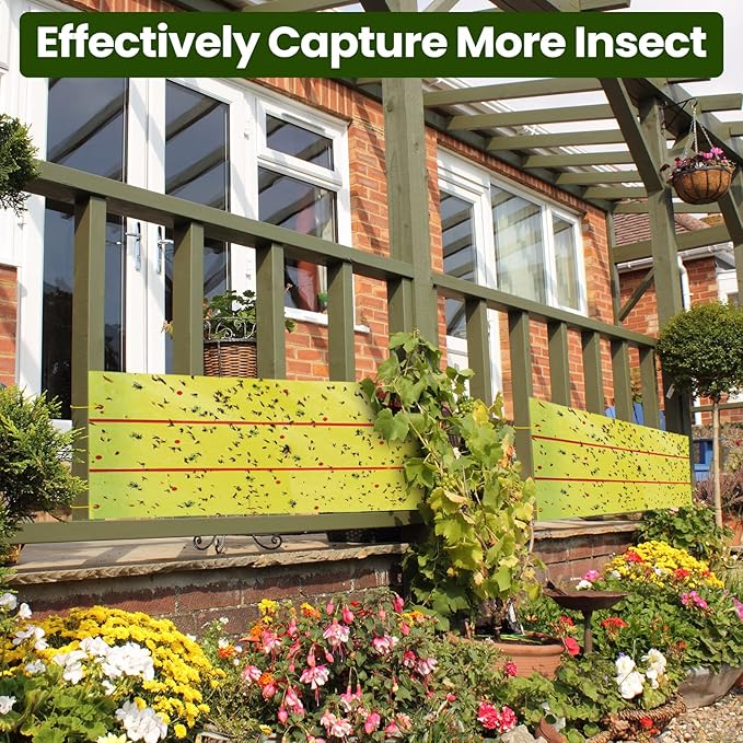 Qualirey Giant Sticky Fly Traps,30 Feet Fly Strips for Indoor Outdoor Hanging Flying Tapes Non Toxic Ribbon Fruit Gnat Killer for Mosquito Plants House Horse Stable (Yellow,2 Pcs)