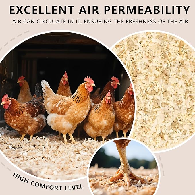 Pine Shavings, Wood Shavings, Chicken Coop Bedding, All Natural Chicken Coop, Chickens Bedding, Small Animal Pine Beddings for Pet Guinea Pigs, Rabbits, Hamsters, Gerbils (1 LB)