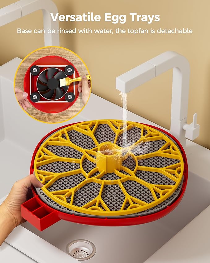 Incubator for Hatching Eggs,Automatic Turning,Temperature and Humidity Control Display,360° Viewing for Chicken, Duck, Quail Eggs, Ideal for Farm, Classroom, Home Use,2025 Upgraded 12 Egg Incubators