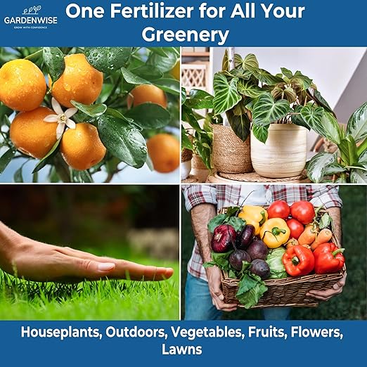 20-20-20 Water-Soluble Fertilizer – Powder for Liquid Plant Food for Indoor & Outdoor Plants, Orchids, Vegetables, Lawns, Flowers – 20 20 20 Fertilizer 1 Quart (2 lbs)