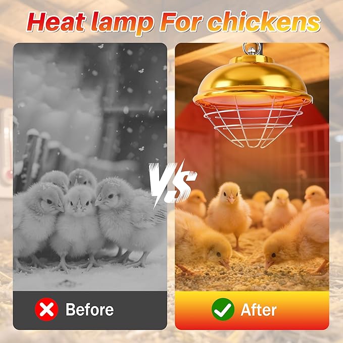 Nirvix 250W Chicken Coop Heater, Brooder Heat Lamp for Chicks, 2-Temp Settings (175W/250W), Adjustable Hanging Height & Waterproof Design for Quail, Ducks, Rabbits, Pets Indoor Outdoor Use