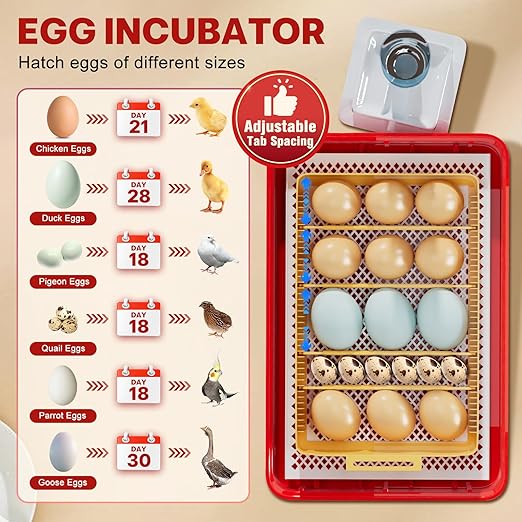 Incubators for Hatching Eggs 15-35Eggs Incubator with Automatic Egg Turning and Temperature Humidity Control Display LED Candler Poultry Incubator for Hatching Chicken Duck and Quail Incubator (Red)