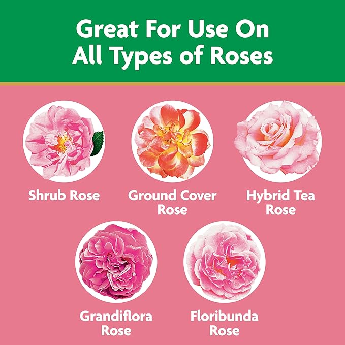 Miracle-Gro Water Soluble Rose Plant Food, 1.5 lb