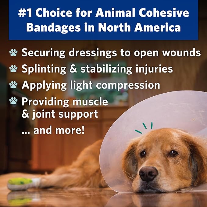 Petflex Pet Pack – Flexible Self-Adhesive Bandage for Wound Care – First Aid Wrap for Small Animals Like Dogs, Cats, & Other House Pets - 2 inch, 36 Rolls