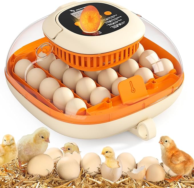 [2024 Upgrade] 25 Egg Incubator, Automatic Egg Turner with Thermometer Seat and Humidity Control, Egg Candler, 360° View with Clear Window, Incubators for Hatching Chicks (Sunlit Orange)
