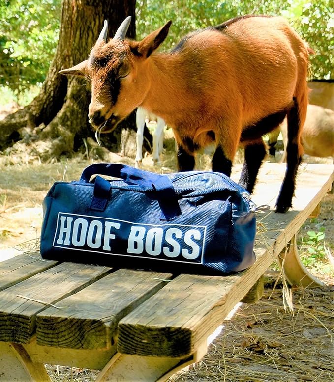 Hoof Boss Electric Goat Hoof Trimmer Kit, 110V US — Rotary Hoof Grinder for Goats & Small Ruminants with Medium & Fine Discs, Dome Top Finisher, Buffing Sander, Safety Glasses & Tool Bag