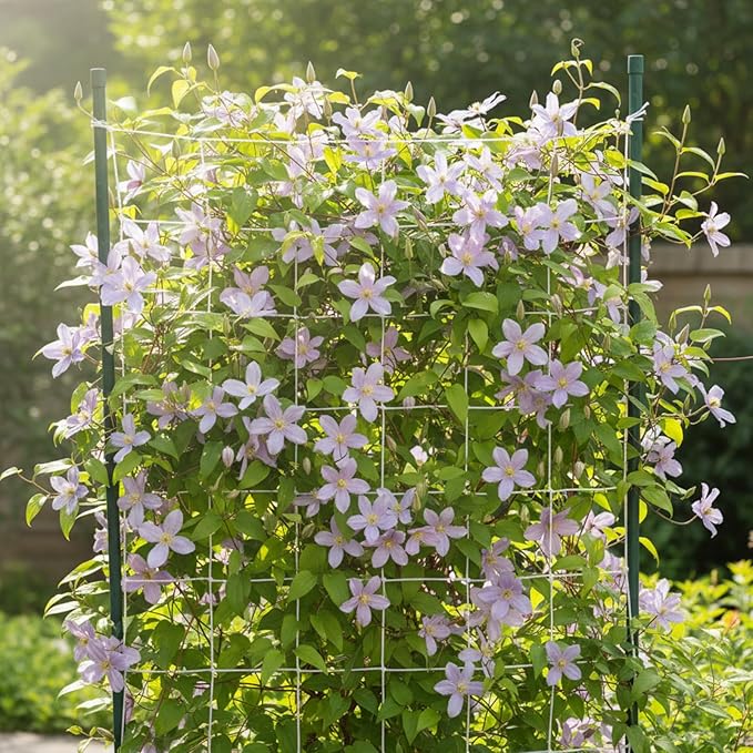 Trellis Netting Heavy Duty Polyester 5 x 30ft and Garden Cover Mosquito Bird Netting Mesh 10 x 33ft for Vegetables Fruits Protection, Climbing Plants Grow