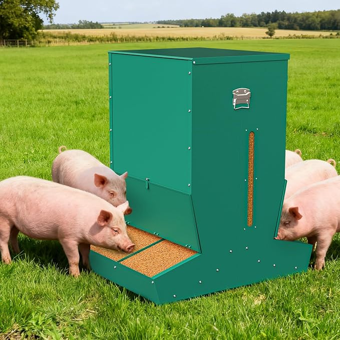 Pig Feeder, 4-Door Heavy Duty Galvanized Steel Hog Feeder,9 Bushels Capacity, Outdoor Pig Feeders with Visable Feed Design, Livestock Feeder for Barn, Farm, Feeding up to 20 Small Hogs, Green