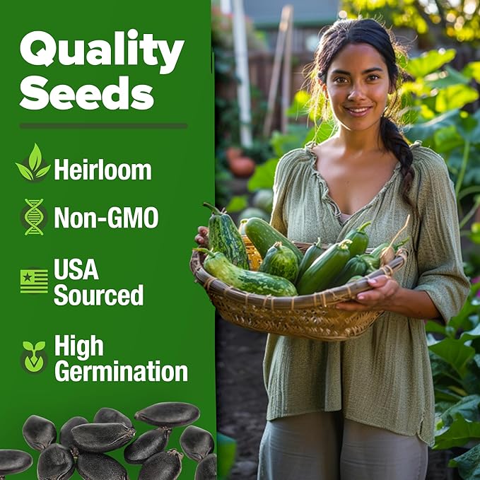 HOME GROWN Luffa Seeds 2 Pack(Luffa aegyptiaca) 80 Heirloom Non GMO Loofah Gourd Seeds for Planting High Germination Rate - Make Sponges or Harvest Young Loofahs for Eating