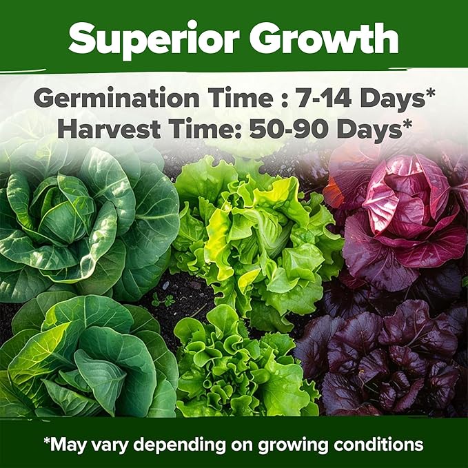 HOME GROWN Lettuce Seeds for Planting - 8 Varieties Non-GMO Heirloom Salad Greens Seeds - 9000+ USA-Sourced Vegetable Seeds for Planting Outdoors, Indoors, Hydroponic Garden