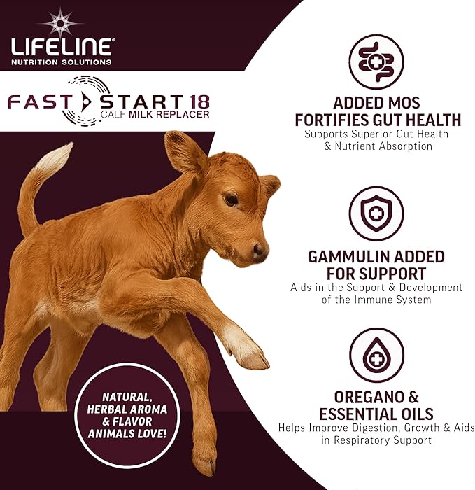 ANNUSO LIFELINE Fast Start 18 Calf Milk Replacer 24:20, 25lb Bag - All-Milk Formula with LifePulse & Gammulin - Immune, Gut & Respiratory Support - No Artificial Flavors, Easy Mix for Calves