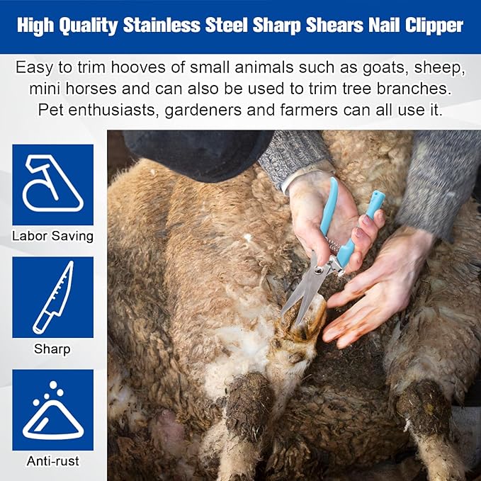 10 Inch 8 Pcs Farrier Tools, Horse Goat Hoof Trimmers for Goats and Sheep with Carbon Steel Nipper, Shears Nail Clipper, Rasp File, Hoof Trimming Cutter Knives, Horseshoe Brush, Storage Bag