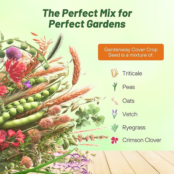 Outsidepride Gardenway Cover Crop Seeds - 10 lbs Nutrient-Rich Seed Mix for Soil Health Improvement & Home Gardens - Mixture of Triticale, Peas, Oats, Vetch, Annual Ryegrass, Crimson Clover