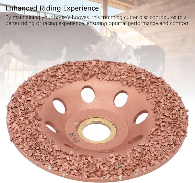 Horse Hoof Trimming Disc, Livestock Hoof Trimming Grinding Wheel, Ti Plated Electric Hoof Repair Plate for Horses Goats Cow