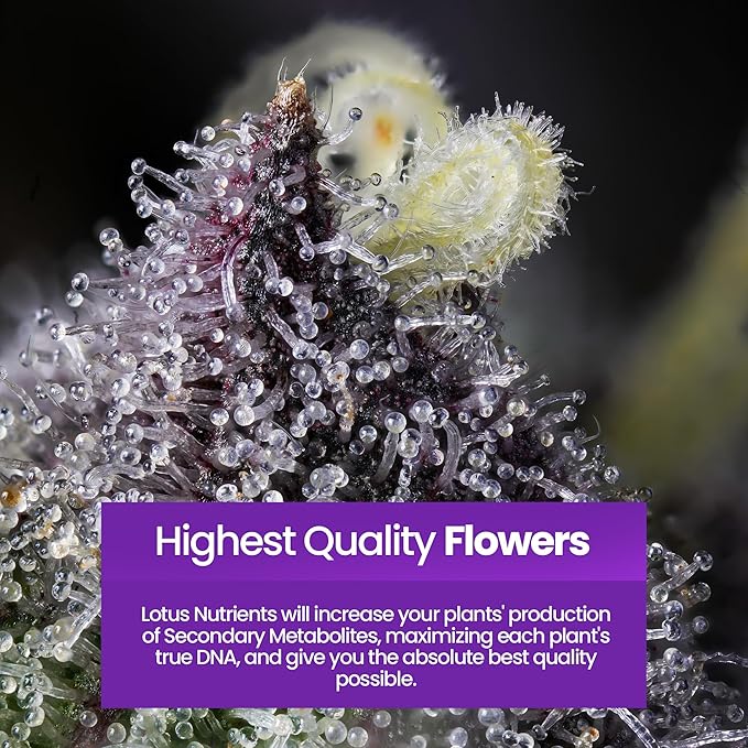 Grow Pro Series - Hydroponic Plant Nutrients and Fertilizer, Water Soluble Plant Food - Massive Roots, Made for Coco Coir, Hydro, & Soil, Enhances Flowering & Fruiting, Indoor & Outdoor Grows 128oz