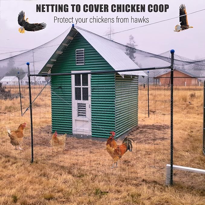Bird Netting for Chicken Coop - 50x50ft Poultry Netting Over Chicken Run & Chicken Pen, Heavy Duty 2.4” Mesh Garden Net for Blueberry Bushes, Fruit Trees and Vegetable Against Birds, Deer, Squirrels