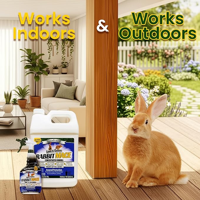 Nature’s MACE Rabbit Mace, Rabbit Repellent for Outdoors, 1 Gallon Concentrate, Covers 2 Acres, Rabbit Deterrent Spray for Lawn, Yard, Garden, Landscape, Safe to Use Around People, Pets, & Plants