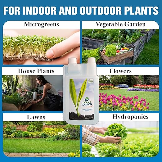 OceanSolution 2-0-3 All Natural Liquid Fertilizer – 32 Oz Concentrated Mineral Fertilizer & Plant Food for Microgreens, Hydroponics, Gardens & Lawns–OMRI Listed, No Odor(1oz per Gallon of Water)