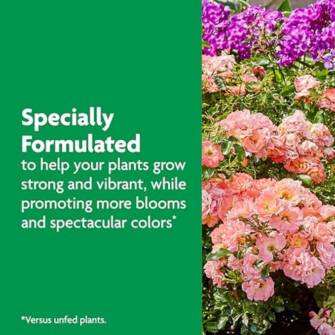 Miracle-Gro Shake 'N Feed Rose & Bloom Plant Food