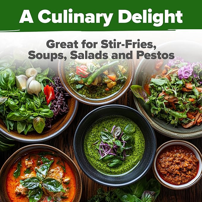 HOME GROWN Thai Basil Seeds Pack - 876 High Germination Heirloom Herb Seeds for Planting,Ideal for Growing Fresh Basil Planting Indoor or Outdoor(Ocimum basilicum VAR.thyrsiflora)