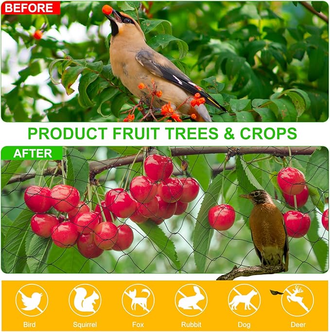 Windyun 2 Pcs Bird Netting Bird Net Chicken Coop 2.4" Mesh Heavy Duty Deer Fence Aviary Net Reusable Fruit Tree Poultry Barrier for Garden Protection Vineyard Against Hawk Squirrel, Black (50' X 100')