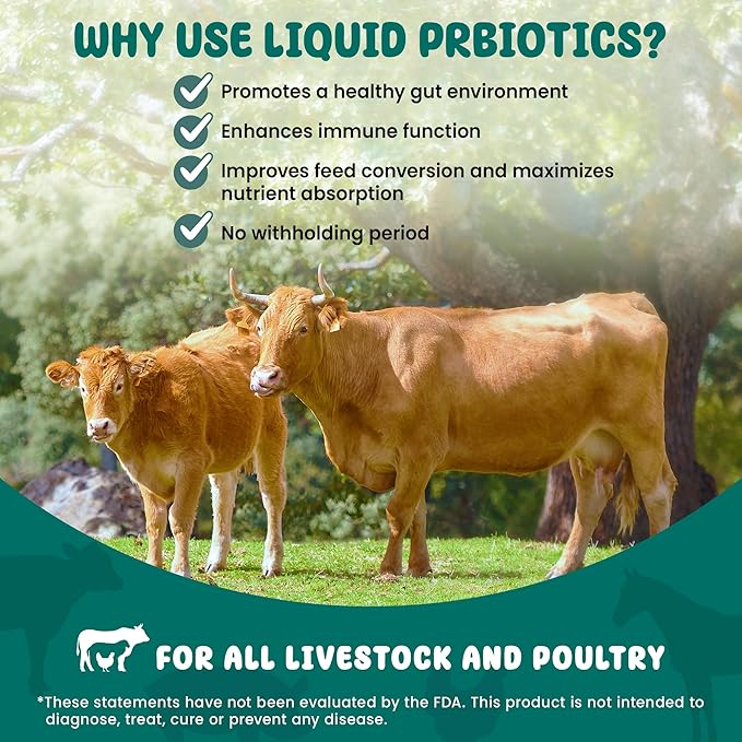 SCD Bio Livestock - Liquid Probiotic Feed & Water Additive, Organic Digestive Supplement for Cows, Pigs, Horses, Chickens, Ducks, Rabbits by SCD Probiotics - 1 Liter (4 Pack)