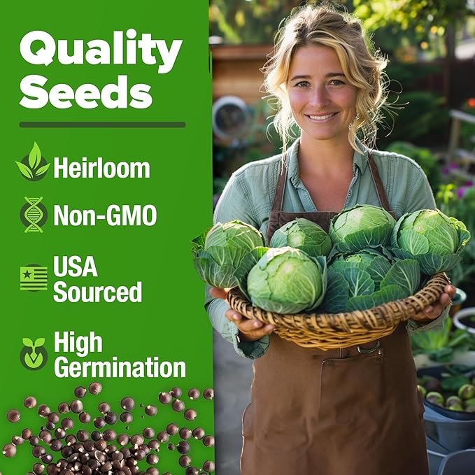 HOME GROWN 7 Cabbage Seeds for Planting - 2000+ Heirloom Seeds - Golden Acre,BokChoy,Savoy,Michihili, Red Acre, Copenhagen Market,Jersey Wakefield - Vegetable Seeds for Planting