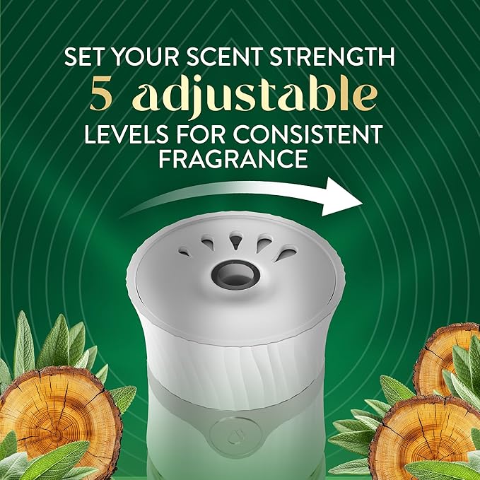 Air Wick Vibrant Plug In Scented Oil Refill,White Sage & Mahogany, 5 ct