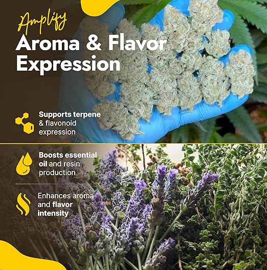 OMRI Listed Organic Concentrated Fish Poop - Liquid Fertilizer for Vegetable Gardens, Indoor Plant Food for Houseplants, Hydroponic Nutrients, Soil Amendment (16 Ounces)