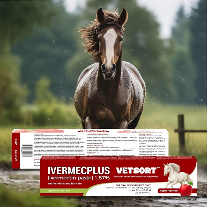 Horse Gel Paste 1.87% – 6 - Pack, 6.08g Each, Accurate Feeding for Horses up to 1,250 lbs, Boosts Growth & Energy