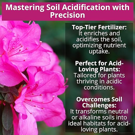 8-4-8 Acidic Fertilizer for Azaleas, Camellias (Camelia), Hydrangeas, Blueberries, Gardenias, Magnolia Trees, Evergreens, and Rhododendrons - Ideal Iron-Rich Plant Food (5 QUARTS)