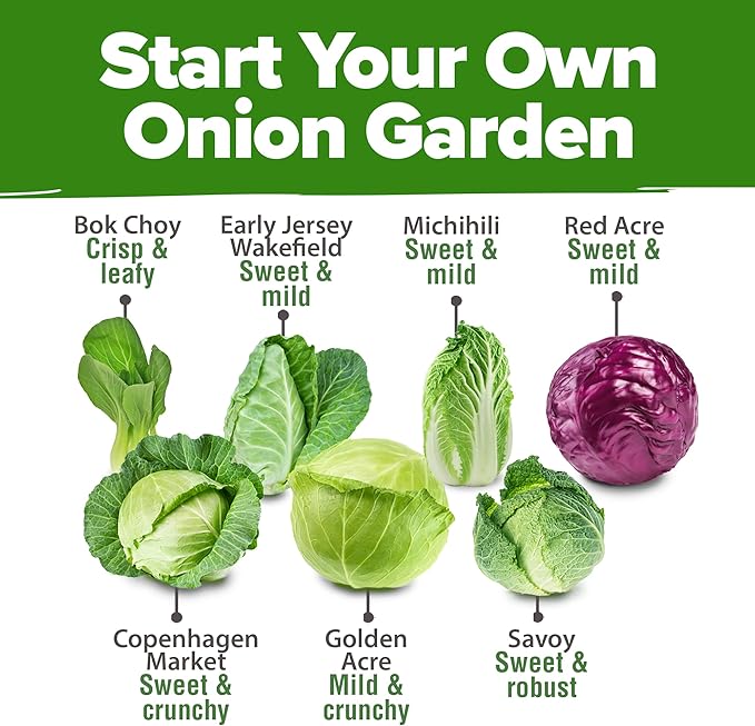 HOME GROWN 7 Cabbage Seeds for Planting - 2000+ Heirloom Seeds - Golden Acre,BokChoy,Savoy,Michihili, Red Acre, Copenhagen Market,Jersey Wakefield - Vegetable Seeds for Planting