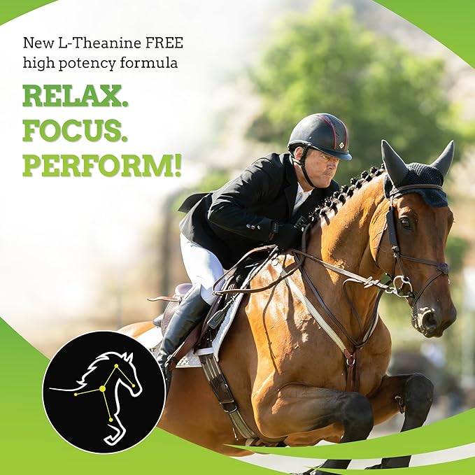SynChill AF Behavioral Support Gel for Horses – Single Serving – Advanced L-THEANINE-Free Formula, 100% Natural Supplement, Composure, Focus & Confidence Support for Horses - 12 Pack