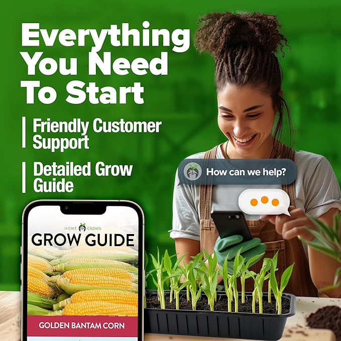 HOME GROWN Golden Bantam Corn 2 Pack – 200 Heirloom Vegetable Seeds – Grow Sweet Corn Outdoors – Easy for Beginners & Great for Home Gardeners –High Germination (Zea mays)