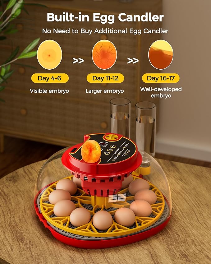 Incubator for Hatching Eggs,Automatic Turning,Temperature and Humidity Control Display,360° Viewing for Chicken, Duck, Quail Eggs, Ideal for Farm, Classroom, Home Use,2025 Upgraded 12 Egg Incubators
