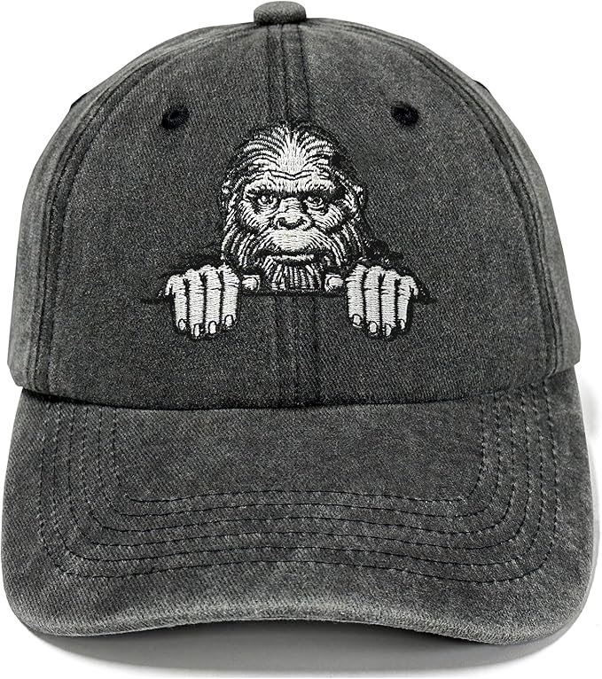 Embroidered Baseball Hats for Men and Women